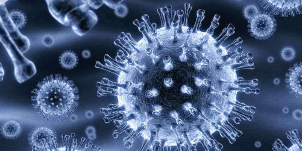 Вирус гепатита С
