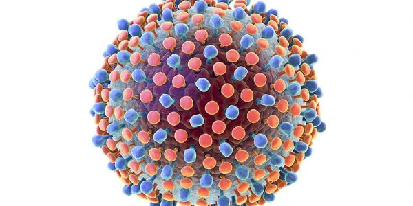 Вирус гепатита С