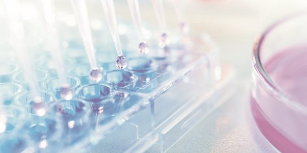 Исследования