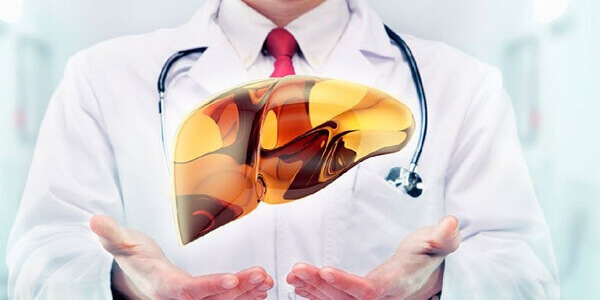 Здоровая печень