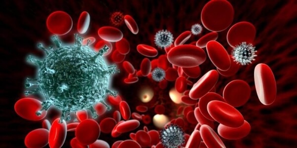 Вирус гепатита