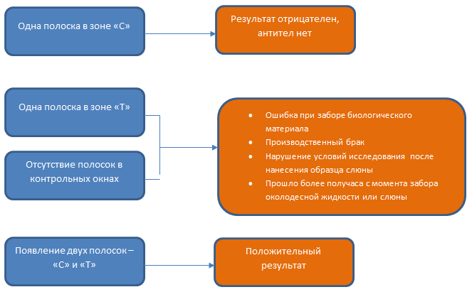 Результаты теста